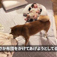 布団をかけようとしてる！？