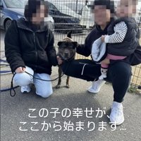 新しいご家族との出会い