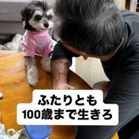 ニウちゃんとおじいちゃん⑩