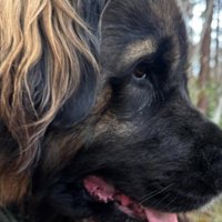 熊に間違われた！！