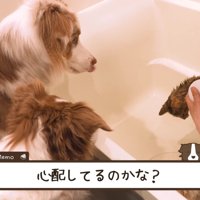 「本当に大丈夫？嫌がってない？」