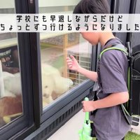 学校にも行けるようになった