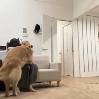 ハナコちゃんとお姉ちゃんの再会⑩