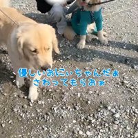 ご家族に撫でてもらってご満悦