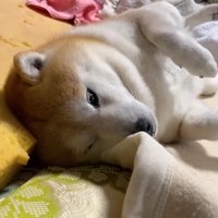 「このままでいいか…」