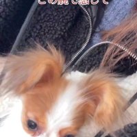 ぐしゃぐしゃの感情で帰路へ