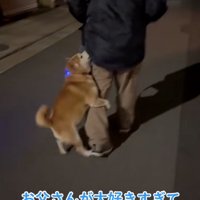 飛びついたまま歩くロンくん