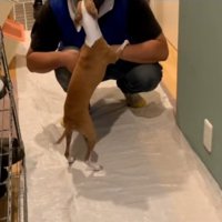 またご挨拶することちゃん