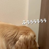 「ふううう」