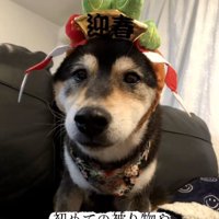 コスプレをする鶴ちゃん