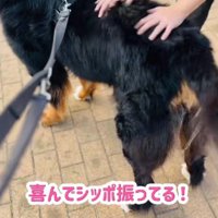 微笑ましすぎる一幕でした