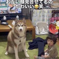 たまに喧嘩もするけれど