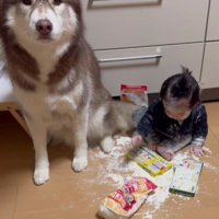 「事情があるんです…」