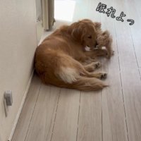 挨拶が簡略化！？