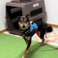 不安そうな表情