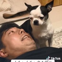 ゴーサインを出すパパ