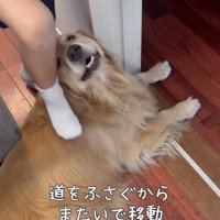 「どうぞー」
