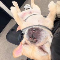 たくましいイブちゃんでした♪