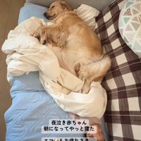 ふたりの寝顔が活力に…