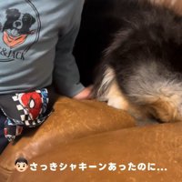 おもちゃの剣がなくなった！