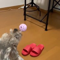 まだまだ現役！！