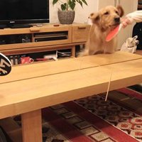 卓球をした時のビスコくん4