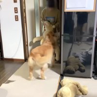 頬が緩みます…♡