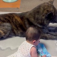 虎丸ちゃんも子守り