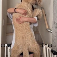朝から必死なママ