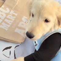 目を覚ましたかと思うと…