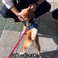 散歩中に交番の前を通ったら…