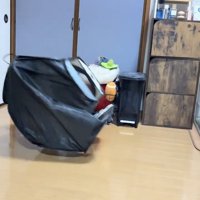 室内を転がるサークル