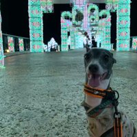 体調はみるみる回復！