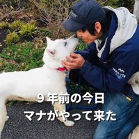 マナちゃんの現在までの軌跡