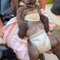 だらんと仰向けになり…