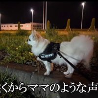 「まさか、ママがいるの？」
