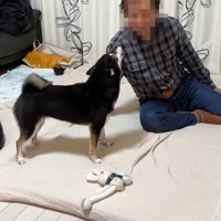 今度はお喋り開始♪