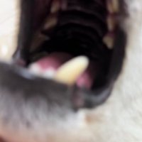 隅々までチェック完了♪