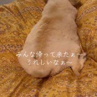 家族がそろうと幸せだね♡