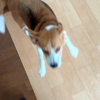 パパさんとママさんを熱烈大歓迎！