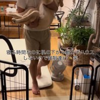 子犬を抱き抱えて、サークルの方へ歩いて行く男性