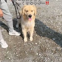 そっくりな子を発見
