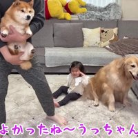 順番にパパの抱っこ♡