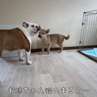 すぐに仲良くなれそう！