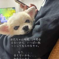 ずっと甘えていたそう