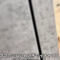 赤ちゃんとわんこがいない…？