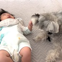 赤ちゃんと触れ合いたいようです