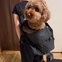 サイズ感おかしい…！？