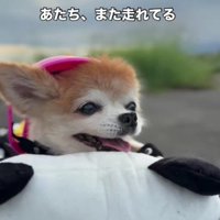 「まだまだ走れてる！！」