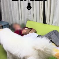 体重50キロのドレミちゃん